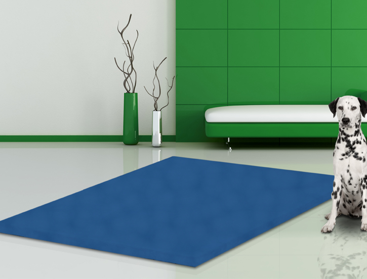 Yogamatte, Trainingsmatte, blaue Matte, Raumdeko, Hund im Raum