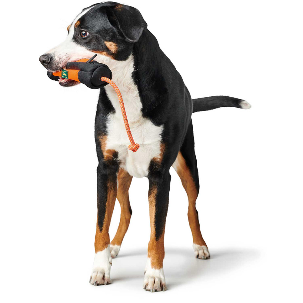 Hund, Shaker, Kauspielzeug, Garten, Gummiseil