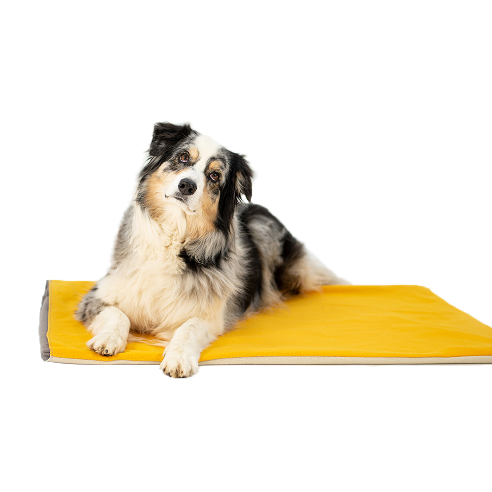 Hundedecke, Pets mat, Hundeplatz, Gelbe Matte, Fellfarben Mélange