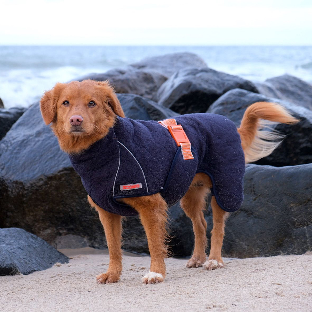 Hund, Mantel, Weste, Navy, Halbwarm