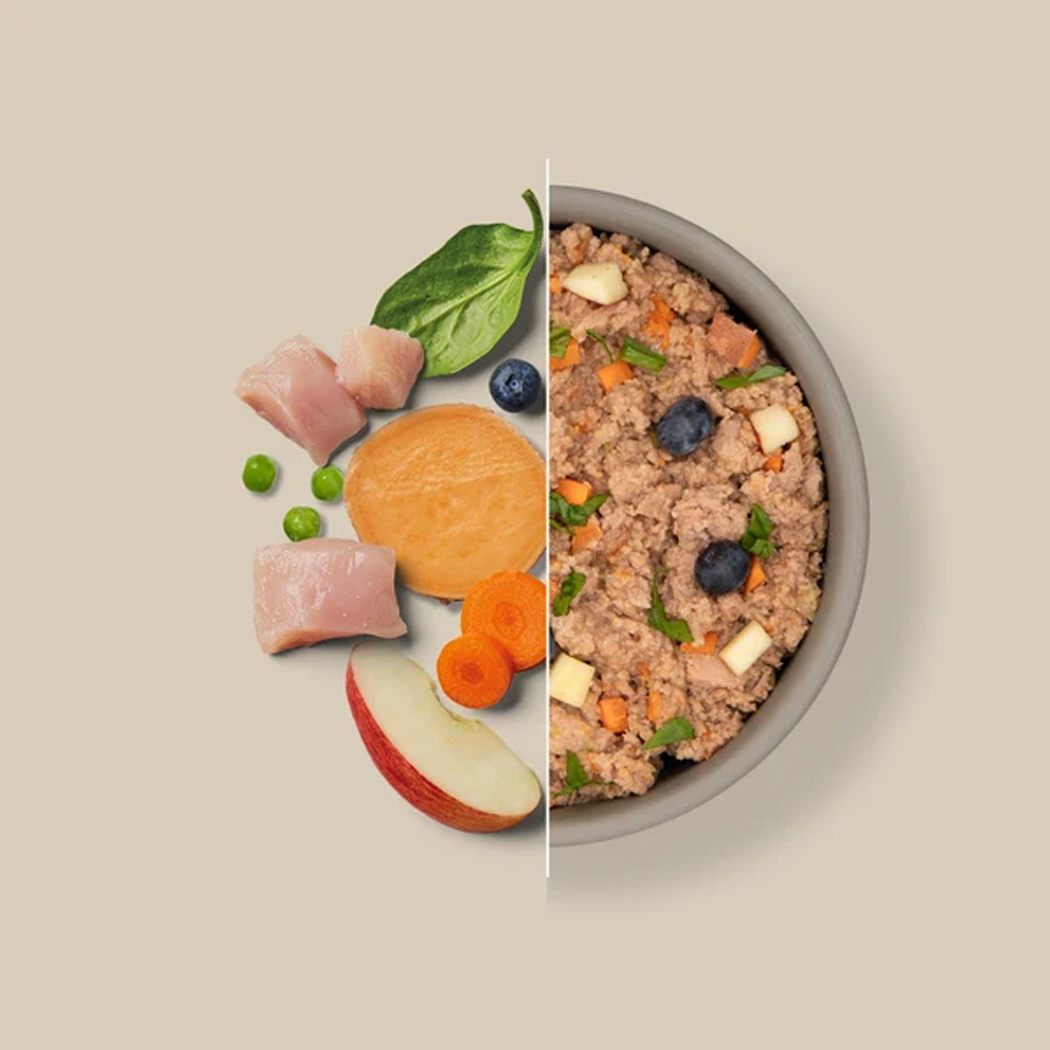 Hundefutter, Mahlzeit, Fleisch, Gemischtes Gemüse, Huhn, Rind, Karotte, Apfel, Schüssel