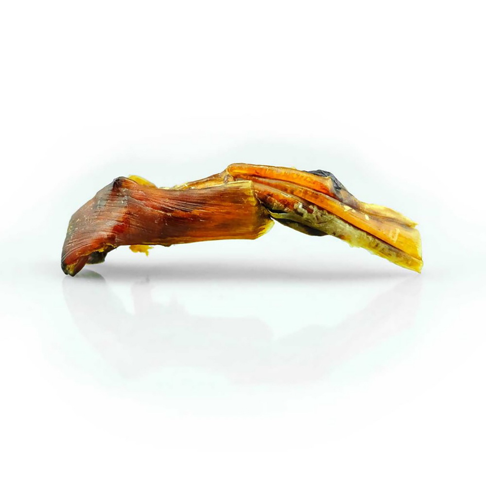 Fisch, getrockneter Fisch, Fisch-Jerky, Fleischsnack, Meeresfrüchte