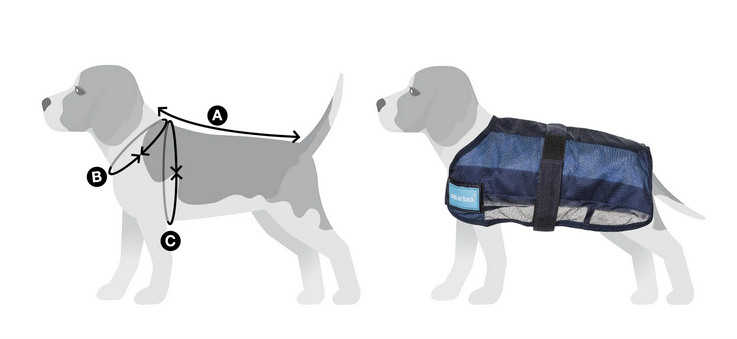 hondeharness, tragetasche, reflektierende schlinge, verstellbar, blaues netzharness