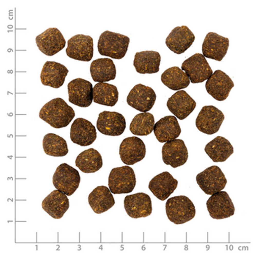 Köderpellets, Tierfutter, Trockenfutter, Kleines Produkt, Futterkugeln