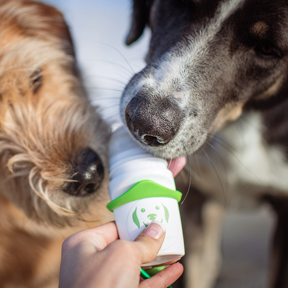 Doggyroller mit Karabinerhalterung - diverse Farben