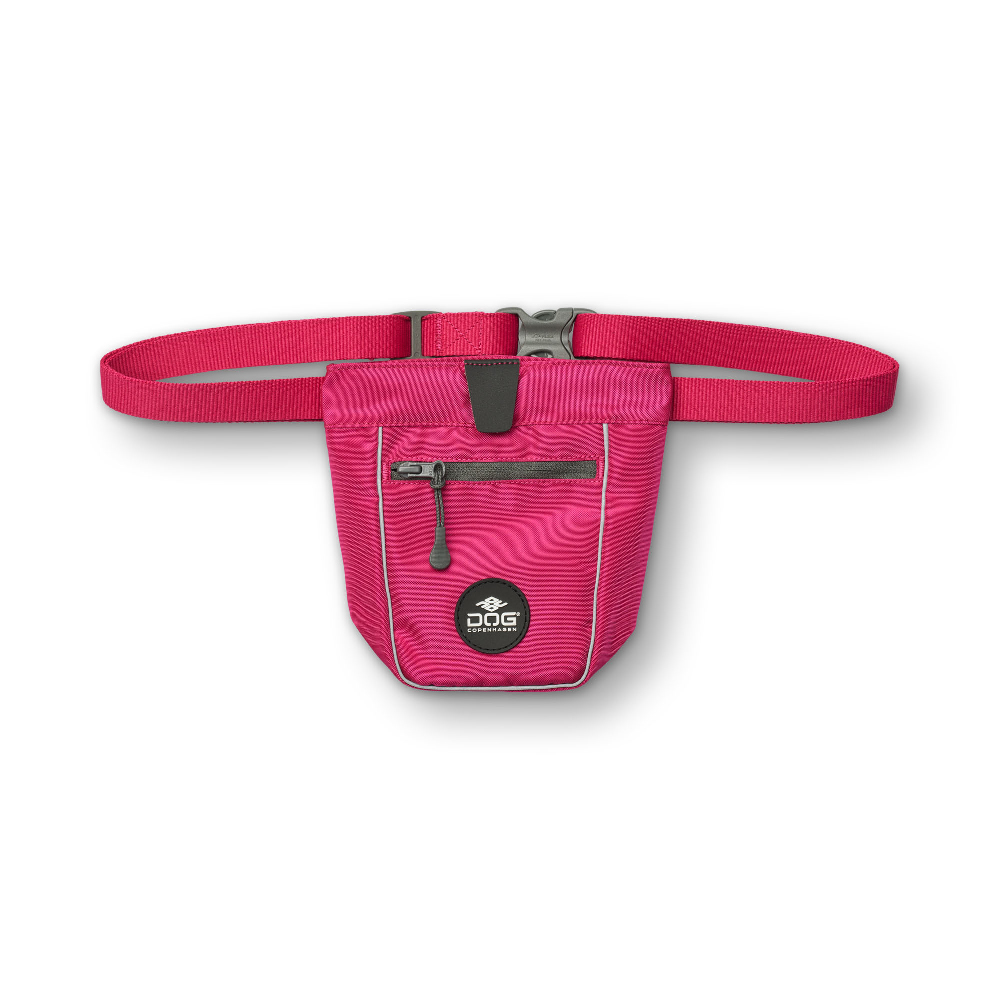 Zubehor, Tasche, Handtasche, Geldbörse, Leinwand