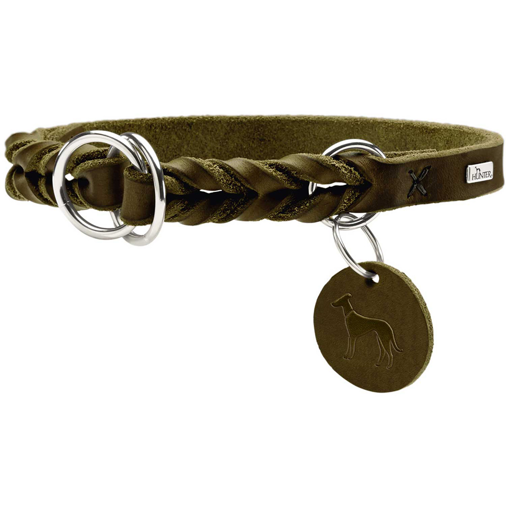 Hundehalsband, Leder, geflochten, grün, Metallringe