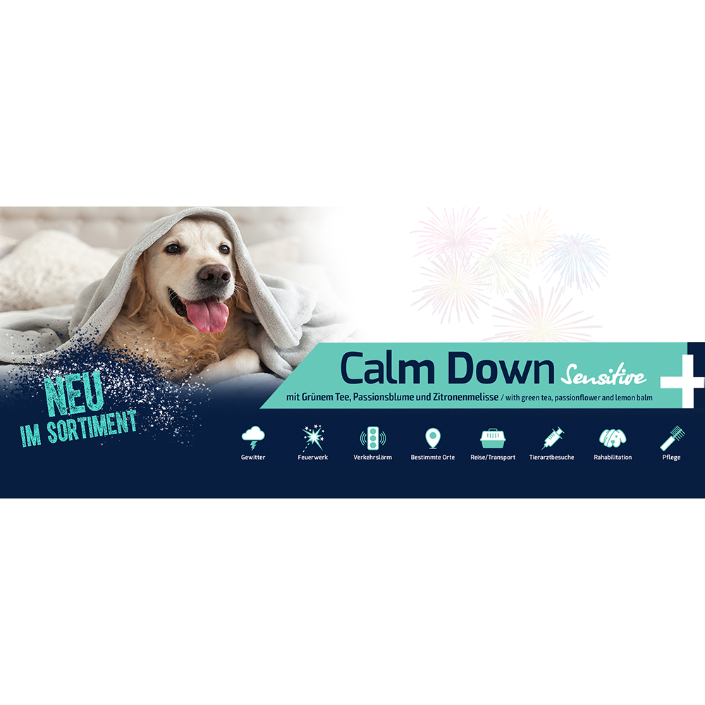 Hundedecke, Hunderolle, Hundebett, Tagesdecke, Blaues Design