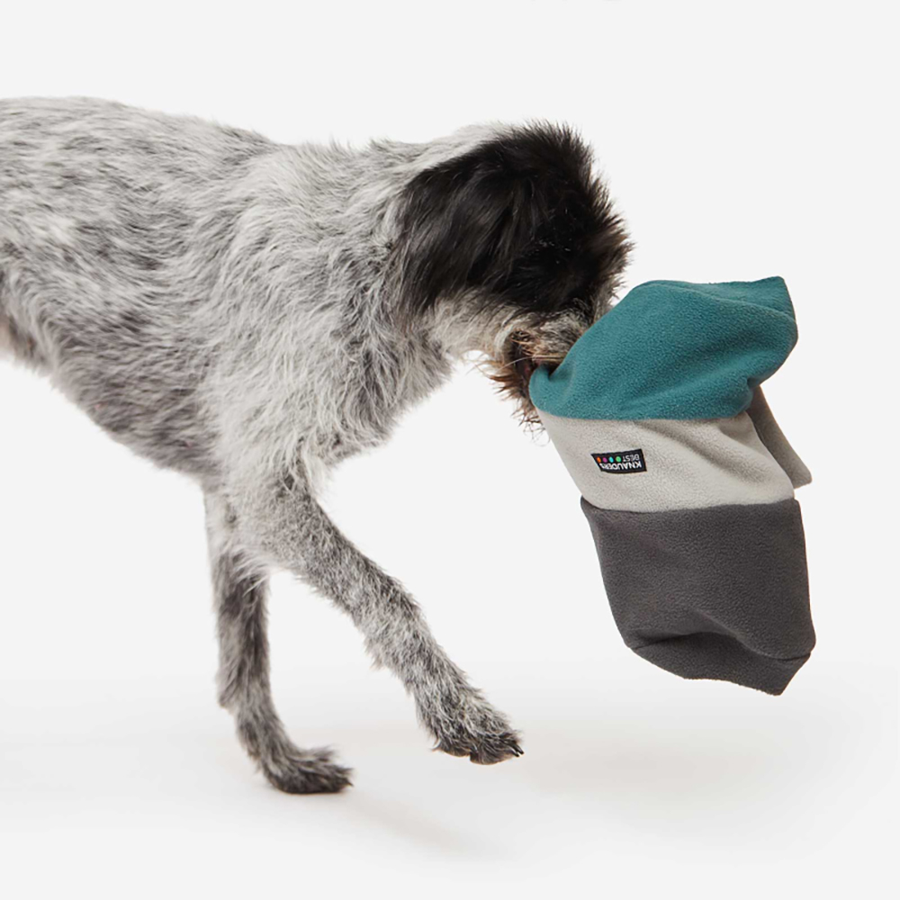 Bekleidung, Hut, Mütze, Schuh, Hund