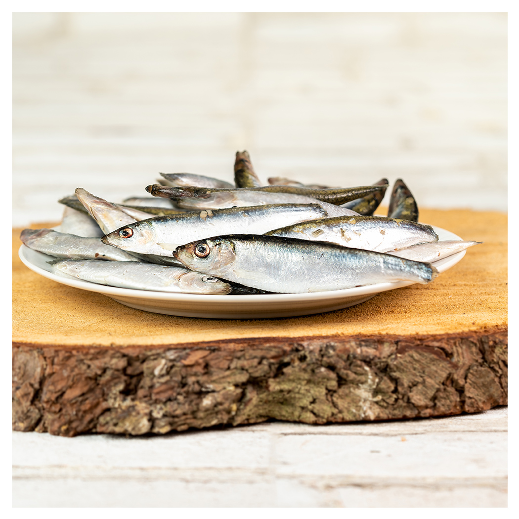 Fisch, Hering, Plate, Meeresteil, ganz