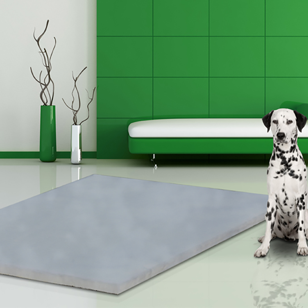 Hund, Dalmatiner, Wohnzimmer, Teppich, Ruhige Umgebung