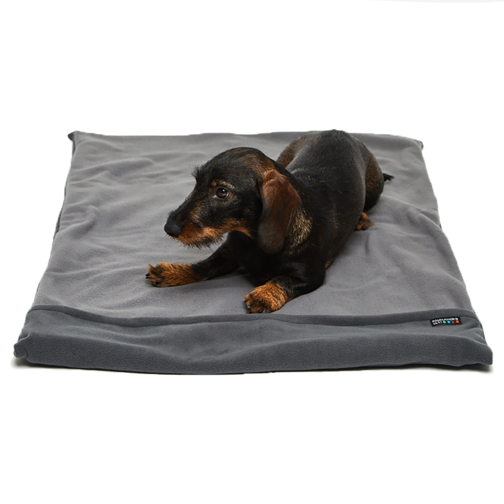 Hundedecke, Samtige Decke, grau, Dackel, Haustierdecke