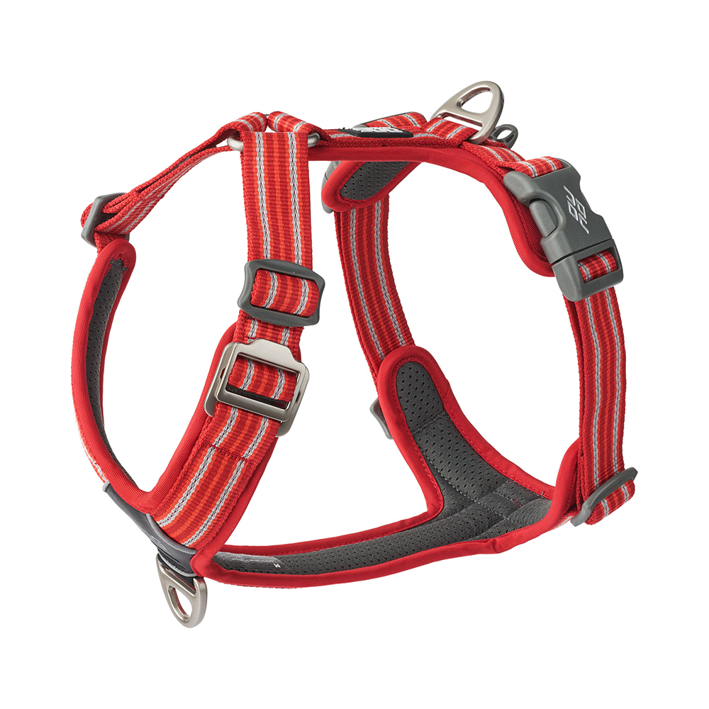 Hundehalsband, Gurtband, Roter Streifen, Verstellbar, Metallöse