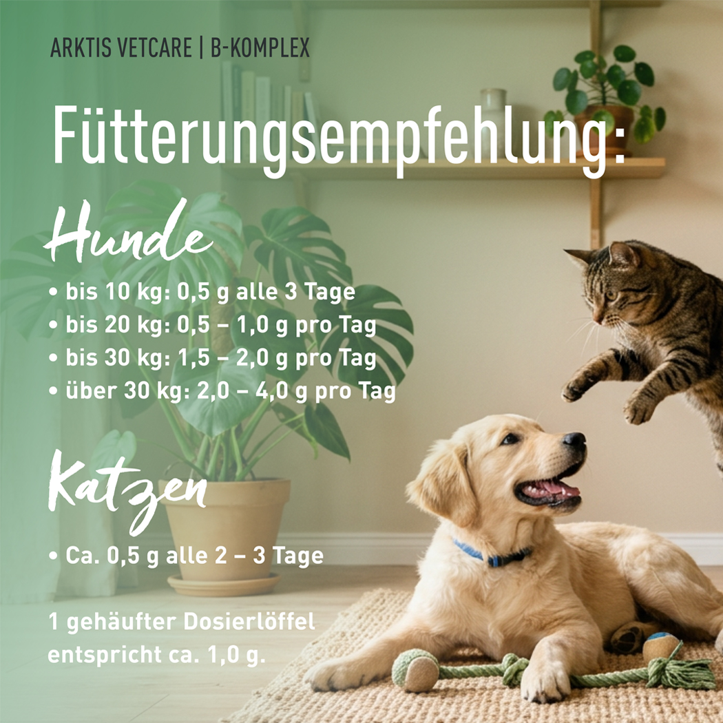 Hund, Katzenfutter, Tierfutter, Hundedose, Kauspielzeug