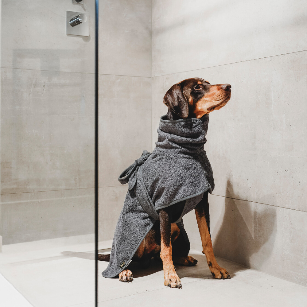 Hund, Dackel, Hundewäsche, Bademantel, grau