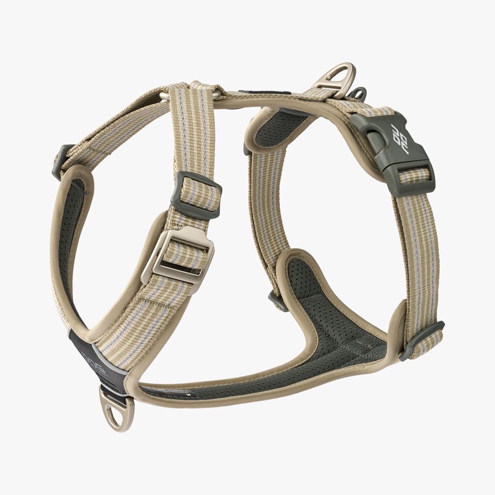 Halsband, Hundegeschirr, Strapazierfähig, Beige, Verstellbar