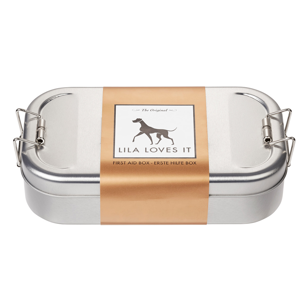 Tier, Hund, Säugetier, Haustier