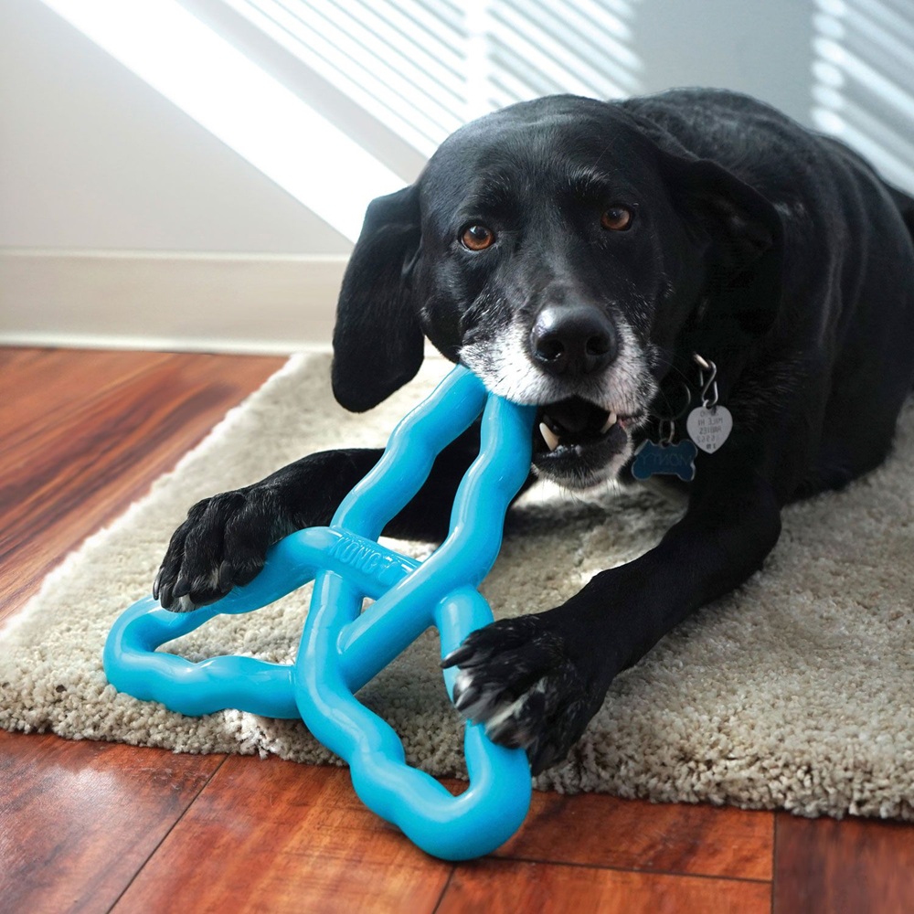 Hund, Kau-Spielzeug, Kautasche, Gummi-Spielzeug, Blau
