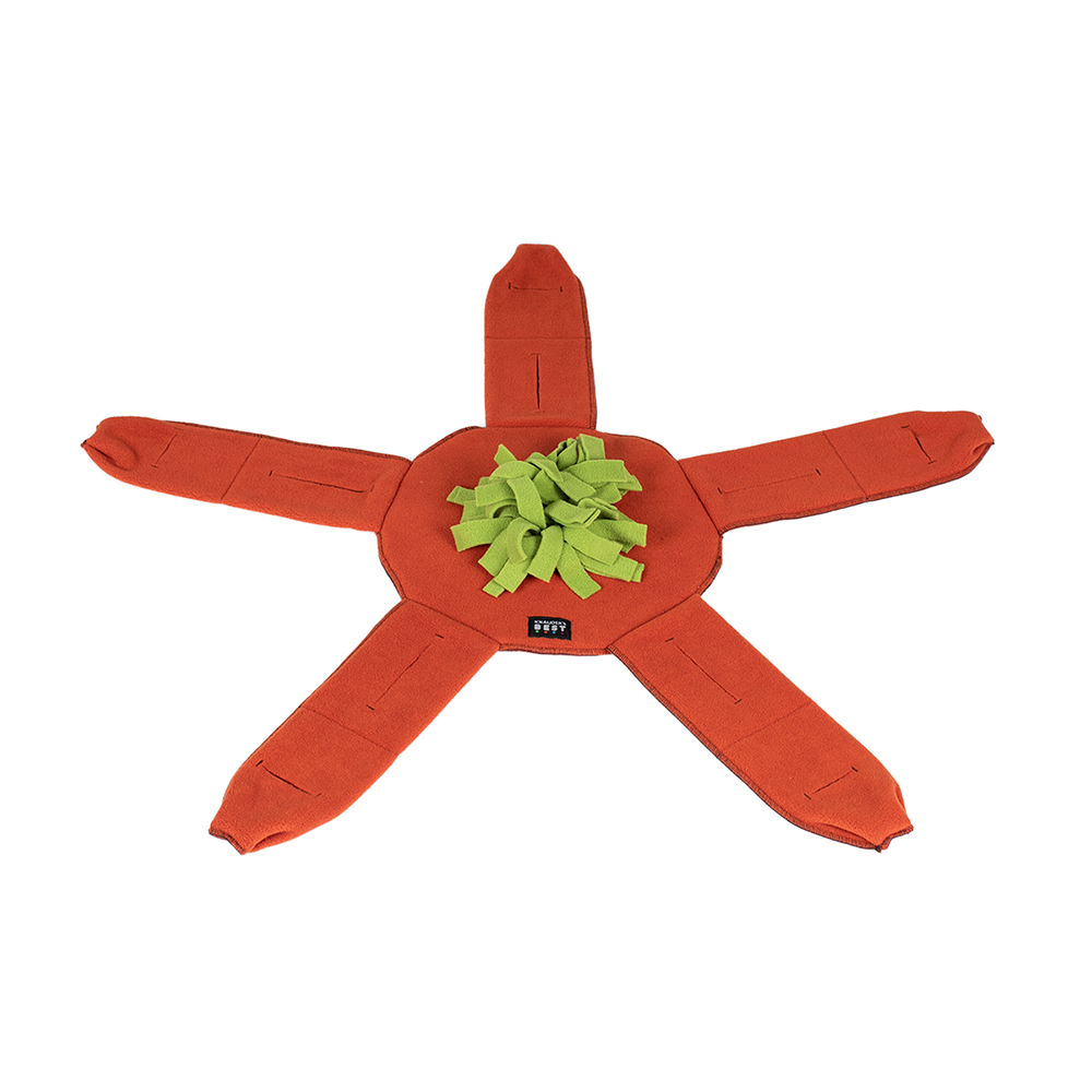 Plushie, Sternform, orange, Grün, Blume