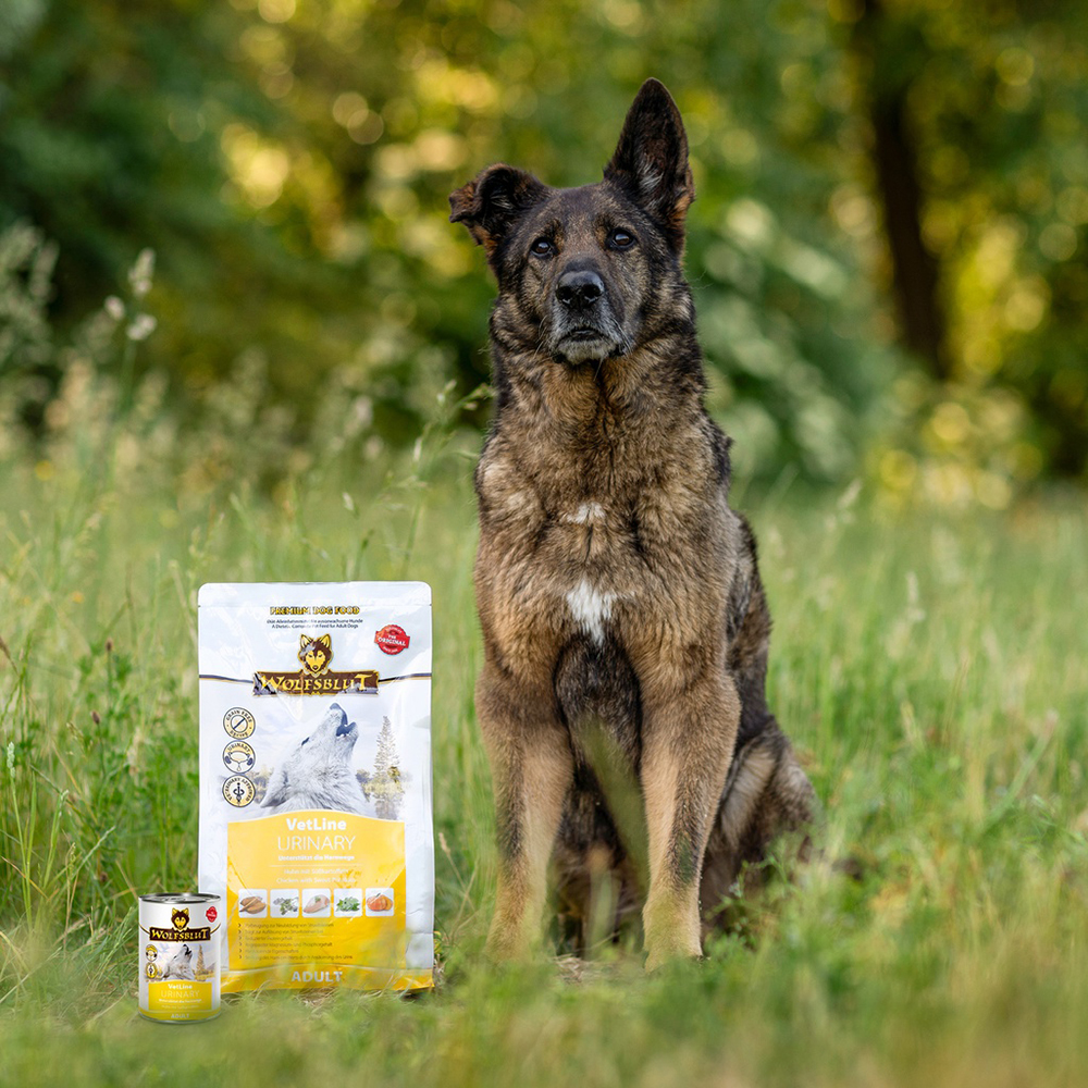 Wolfsblut Vetline Trockenfutter Urinary 2kg oder 12kg - Struvit - Huhn