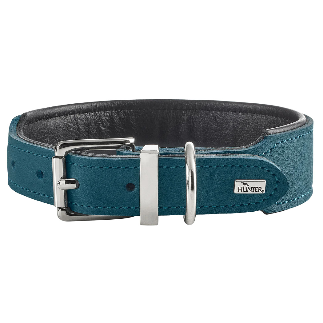 Kragenarmband, Teal, Leder, Schnalle, Hunter