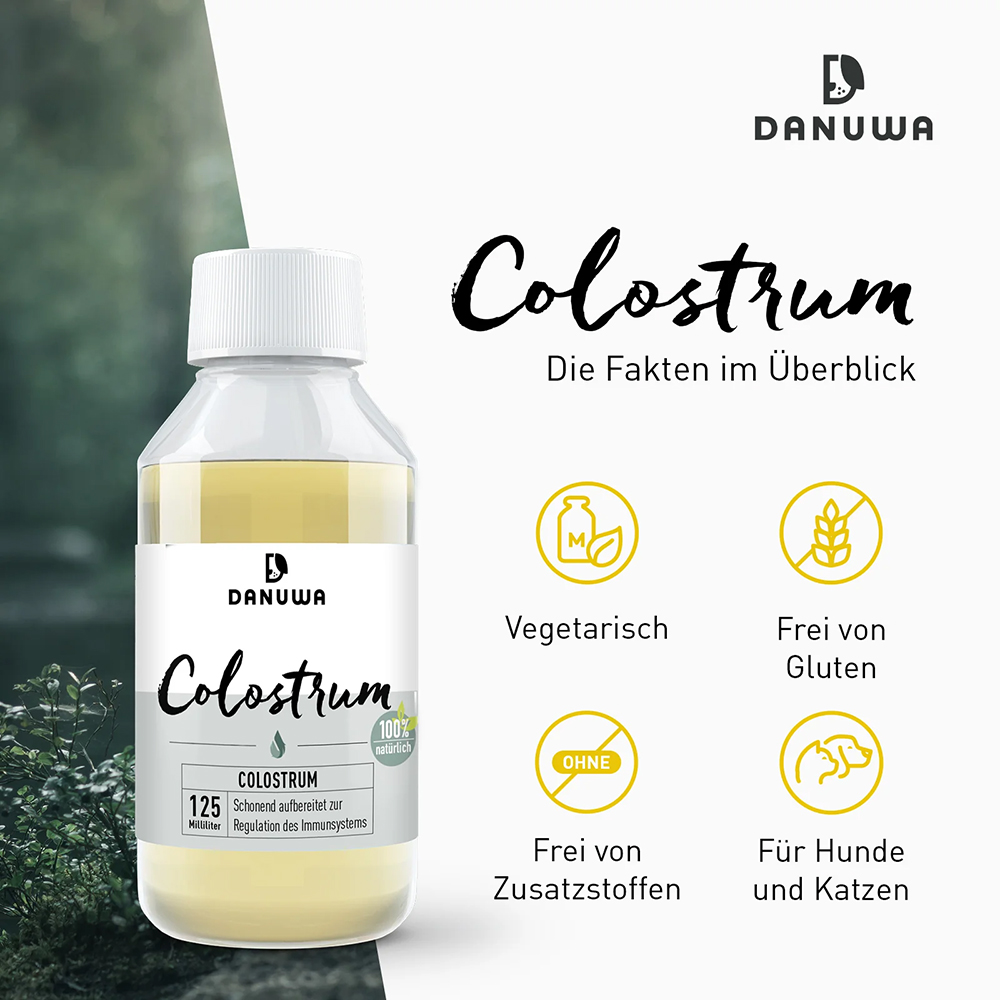 Flasche