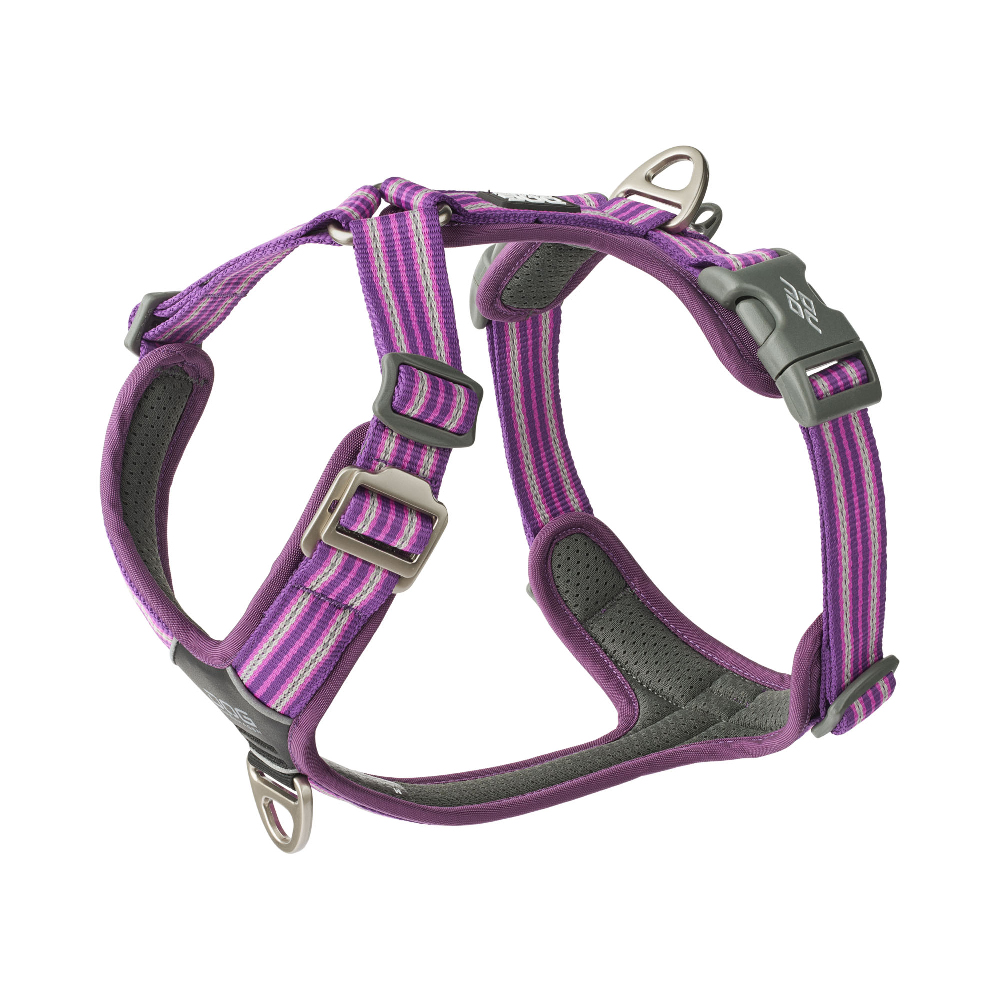 DOG Copenhagen V3 Comfort Walk Air Harness Purple Passion - XS bis L