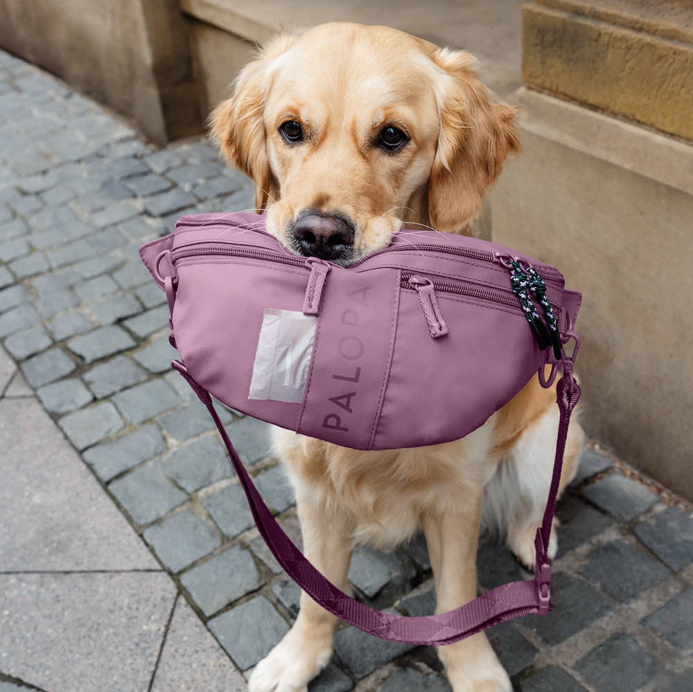 Hund, Portabel, Sack, Hunde-Geschirr, Lila