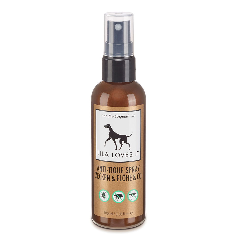 Flasche, Hund, Haustier, Kosmetik, Parfüm