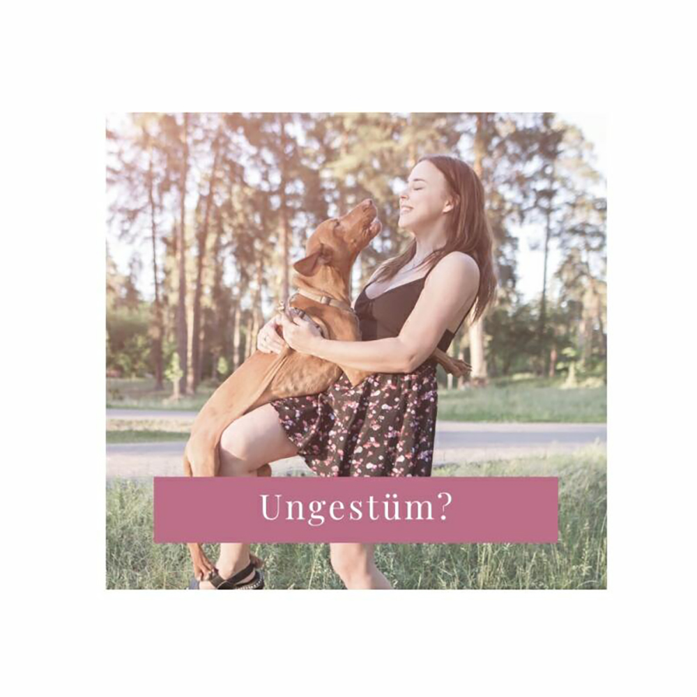 dog, frau, draußen, umarmung, textfeld