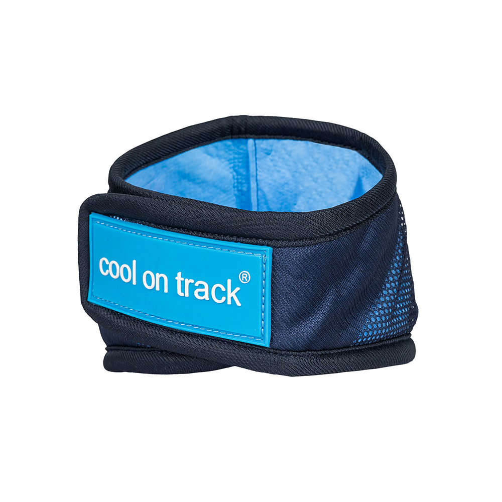 sportband, Neopren, Mesh, Blau, verstellbar