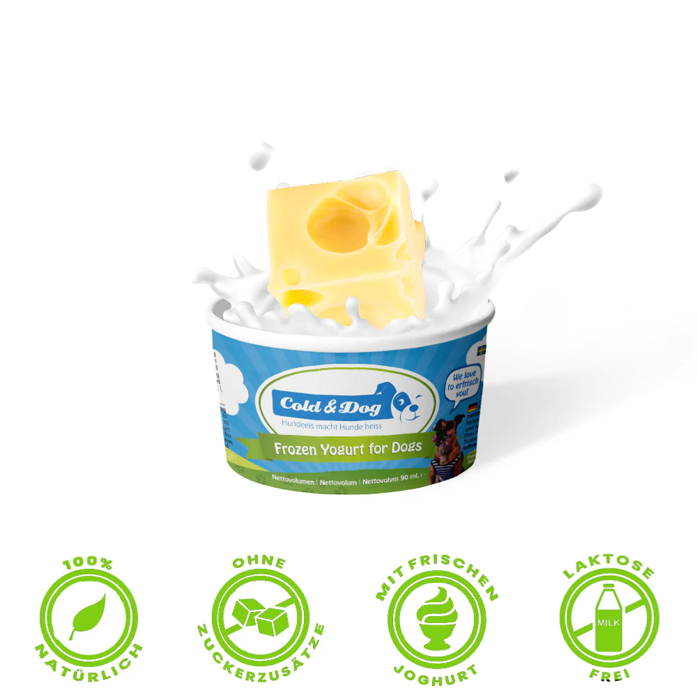 Frozen yogurt, dog yogurt, milchprodukt, cremebecher, laktosefrei