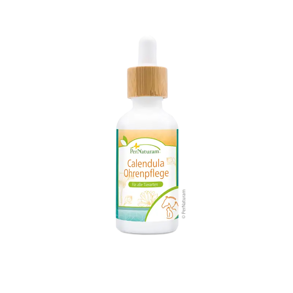 Flasche, Lotion, Kräuterig, Kräuter, Pflanze