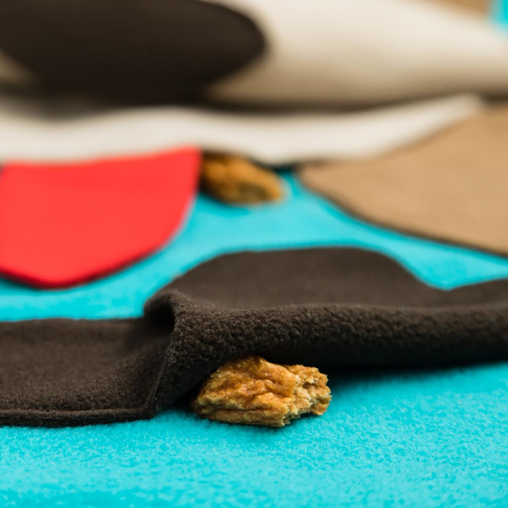 keks, cookie, schwarz, tuch, teppich