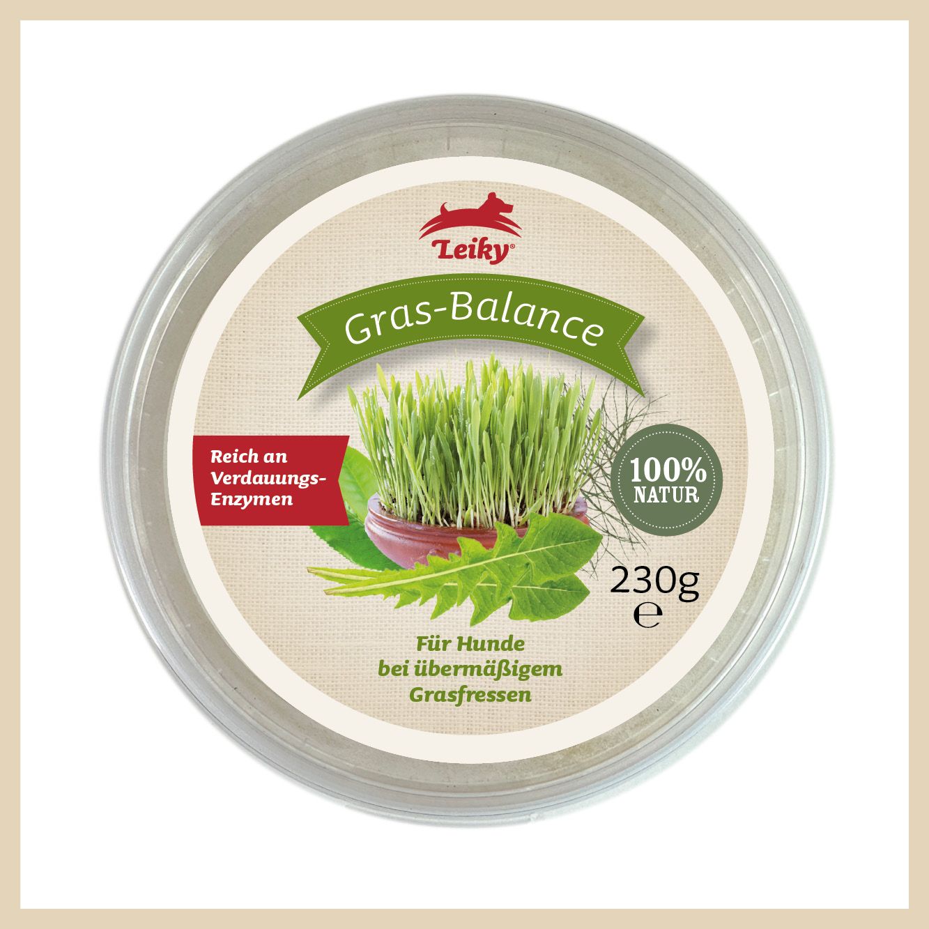 Kräuterig, Kräuter, Pflanze