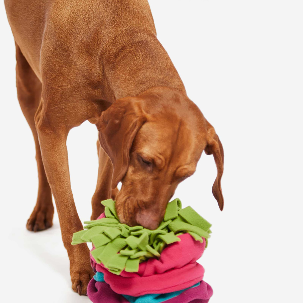 Hund, Spielzeug, Kauspielzeug, Fransen, Fleece