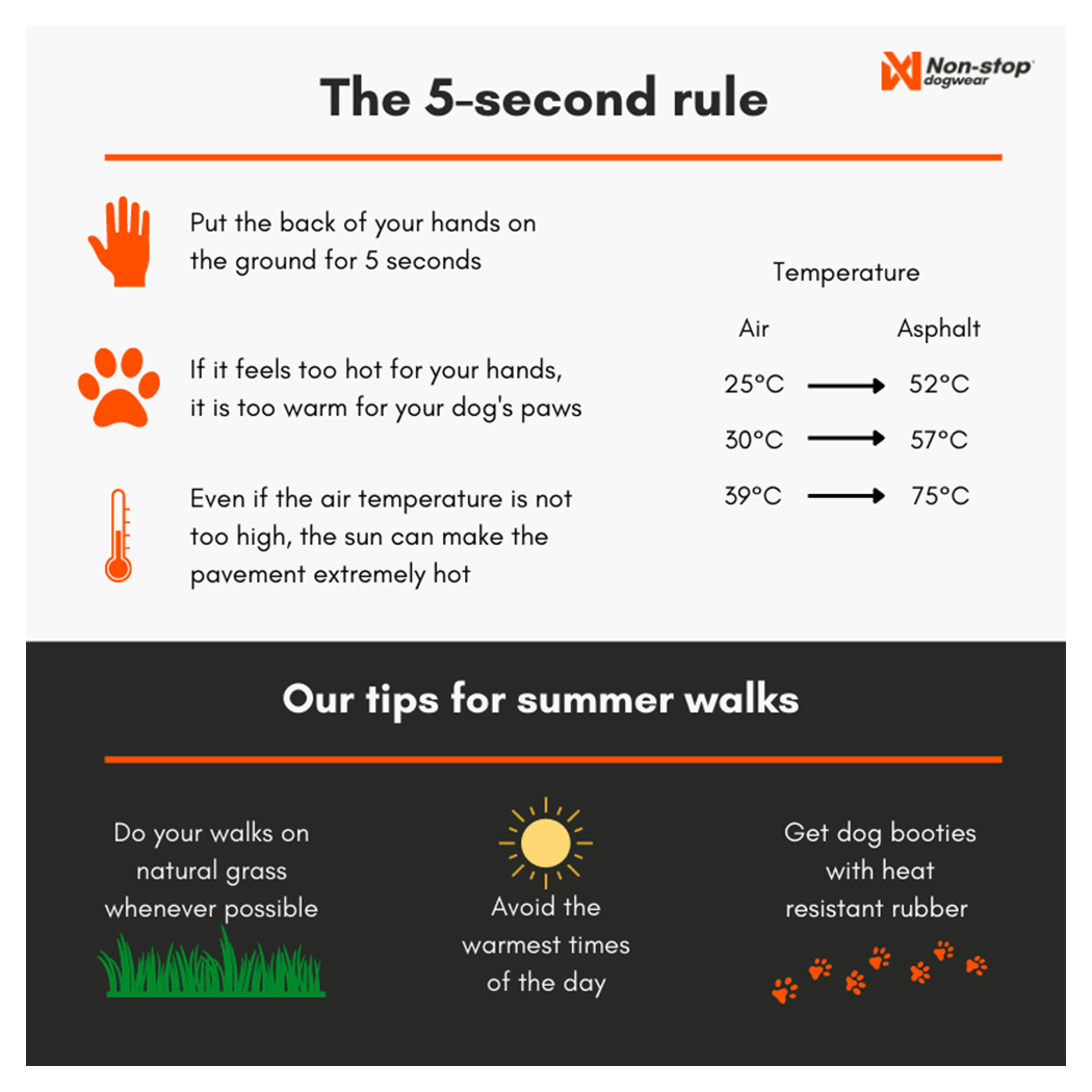 summit, dogwear, temperatur, pfoten, tipps