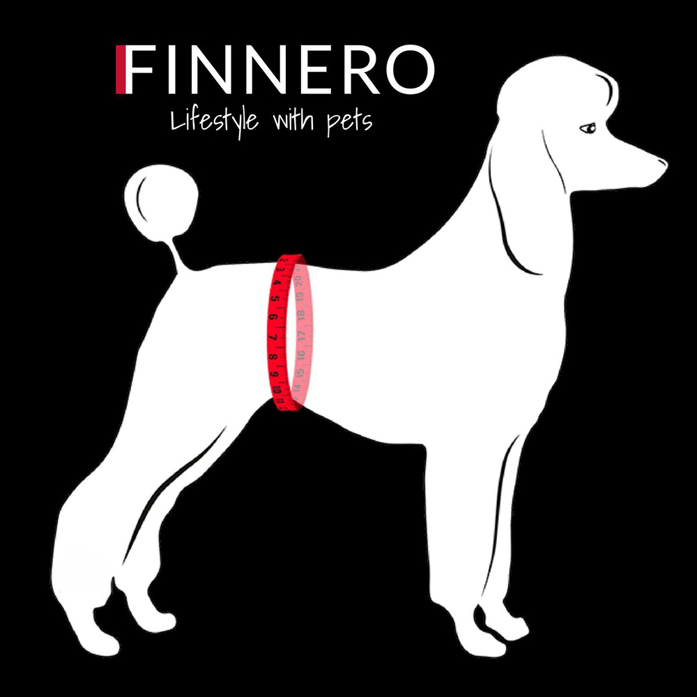Hundefigur, maßband, Tierbild, Schwarzweiß, Halsbandlos