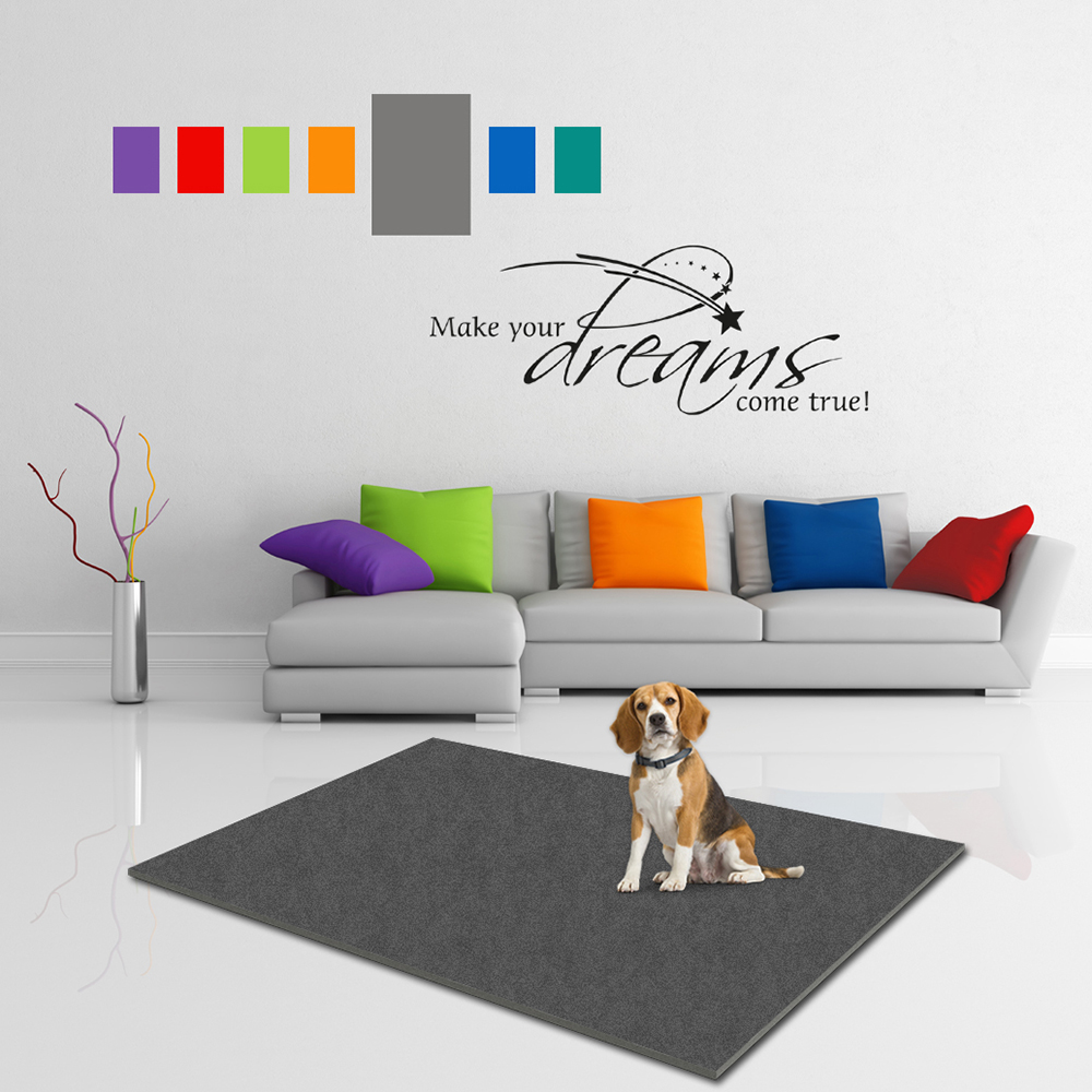 Wohnzimmer, Teppich, Grau, Sofa, Hund