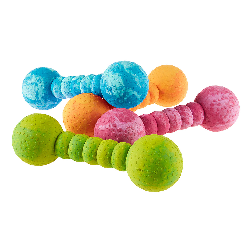 Dumbbell, Gumminutensil, Fitness-Training, farbige Ballen, Texturierte Oberfläche