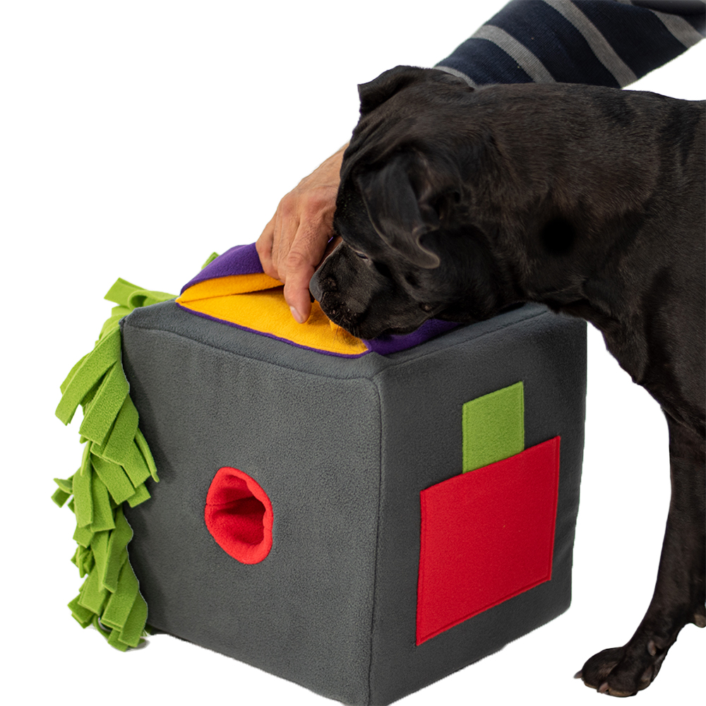 Hundespielzeug, Kauspielzeug, Filzstoff, Kubusform, Farbblock