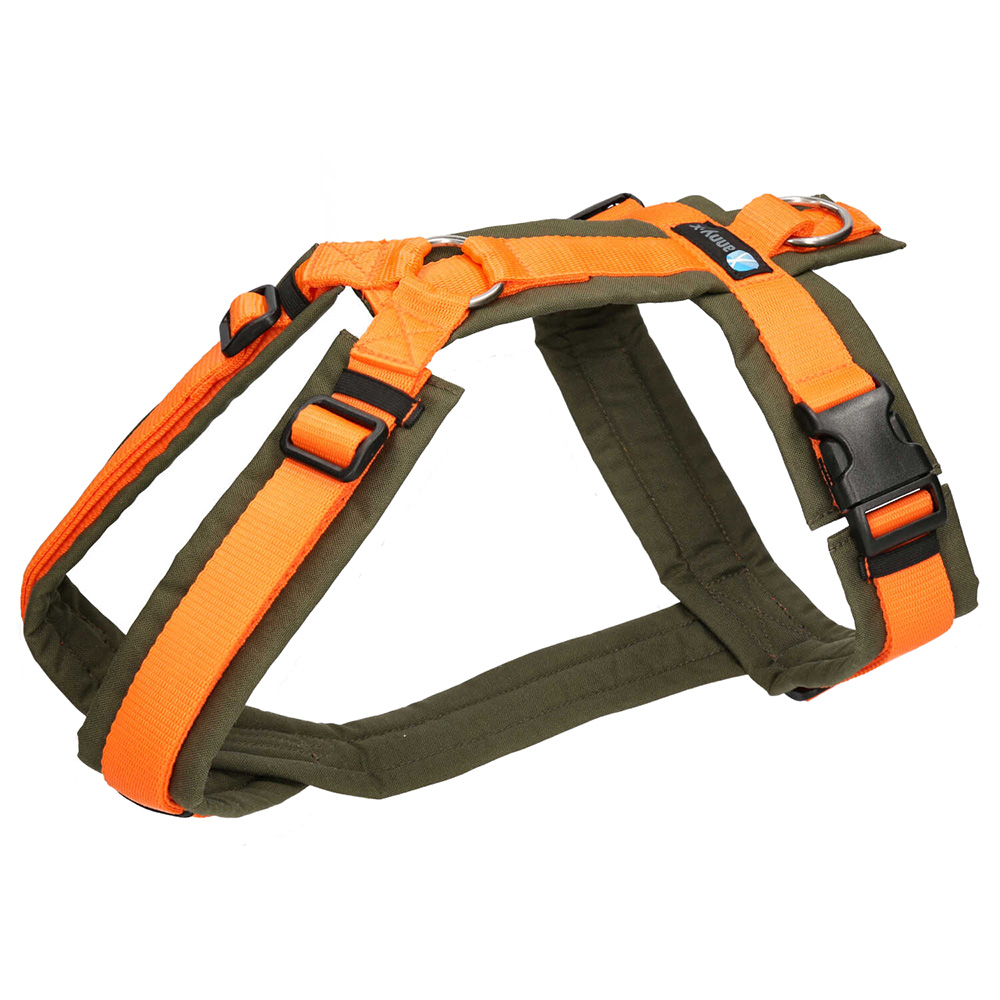 harness, orange straps, olive green, adjustable, buckle