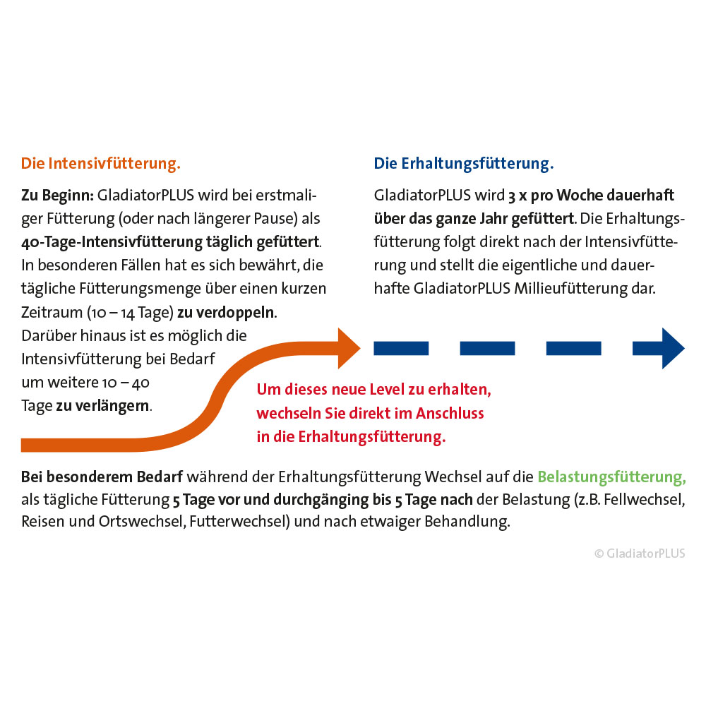 Infografik, Futterart, Erhaltungsfutter, GladiatorPLUS, Diagramm