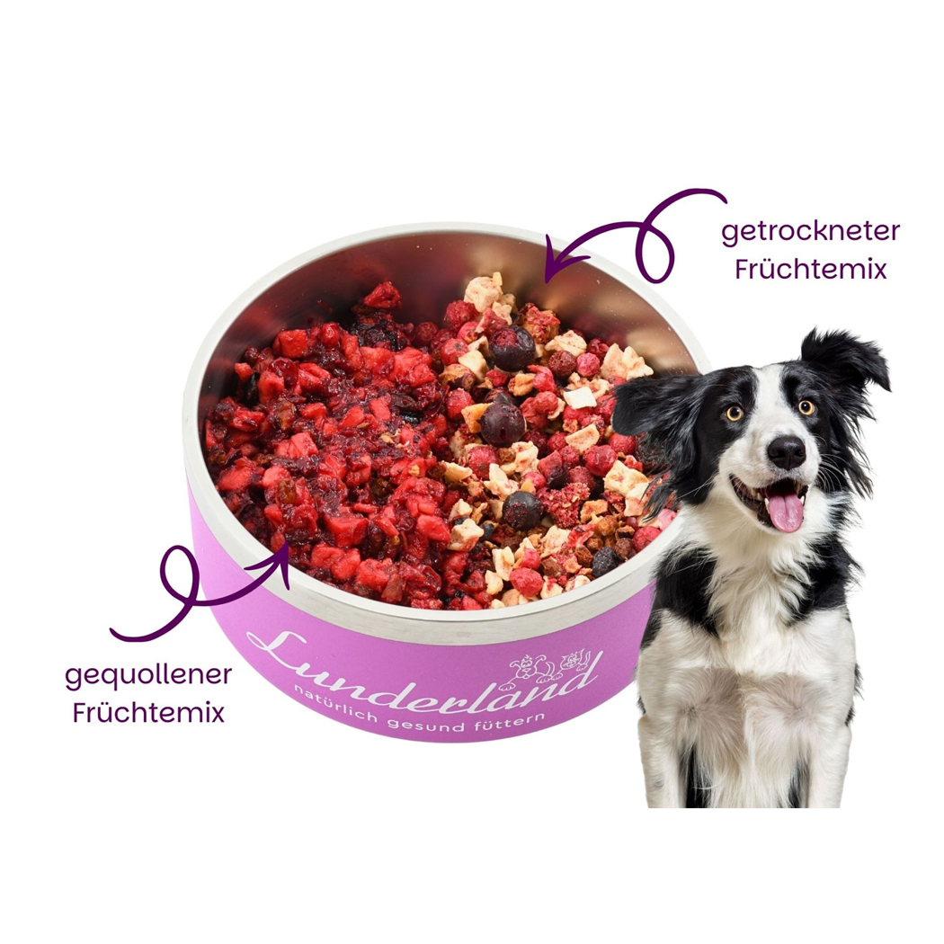 Hunde-Nassfutter, Hunde Leckerlis, Fruchtmix, Getreidefrei, Fellpflegung