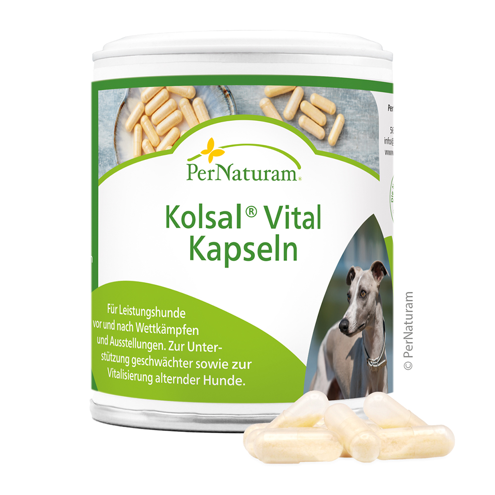 Kapseln, Kolsal, Vital, Hund, Ergänzung