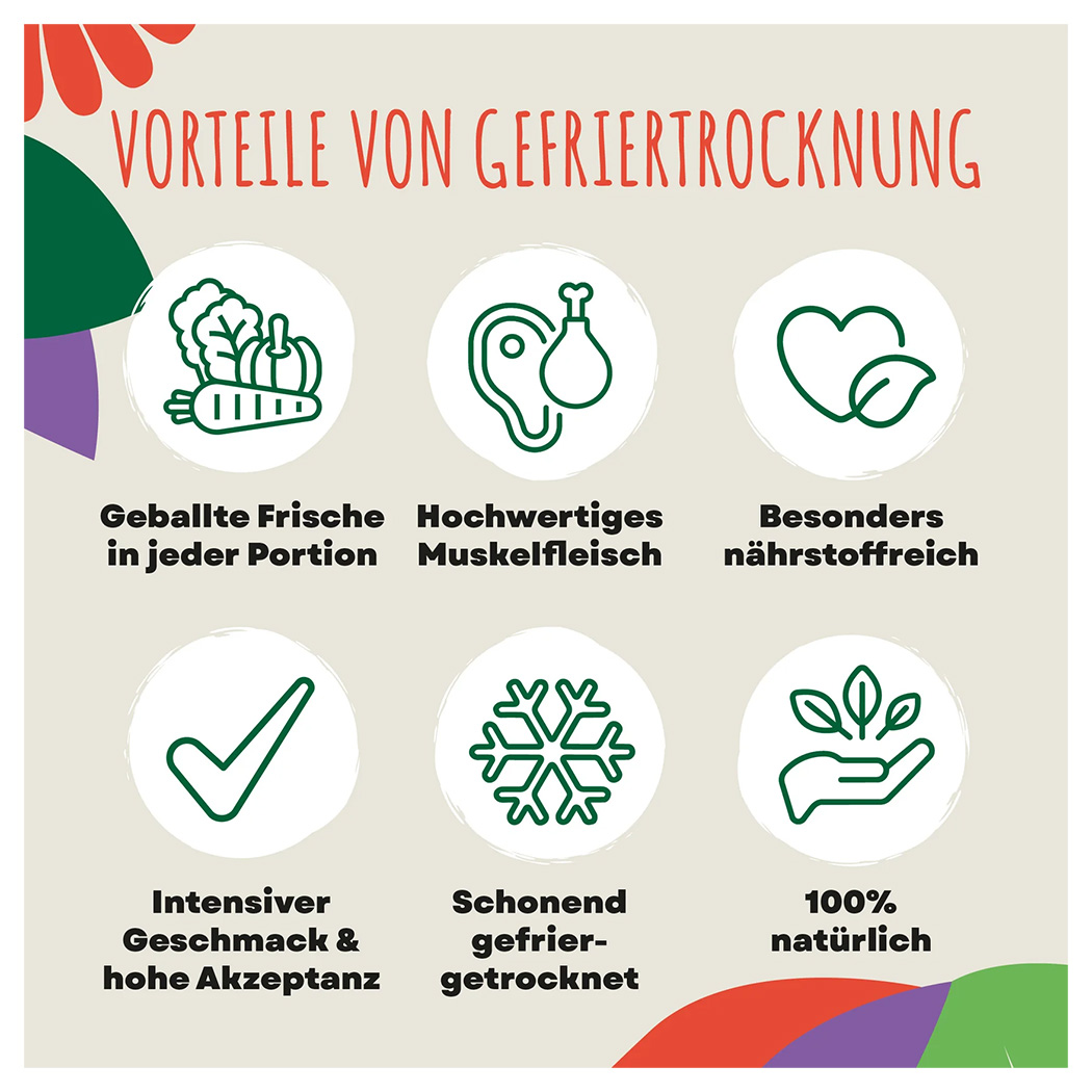 Gemüse, Frische, Muskel-Fleisch, Nährstoffreich, 100% natürlich