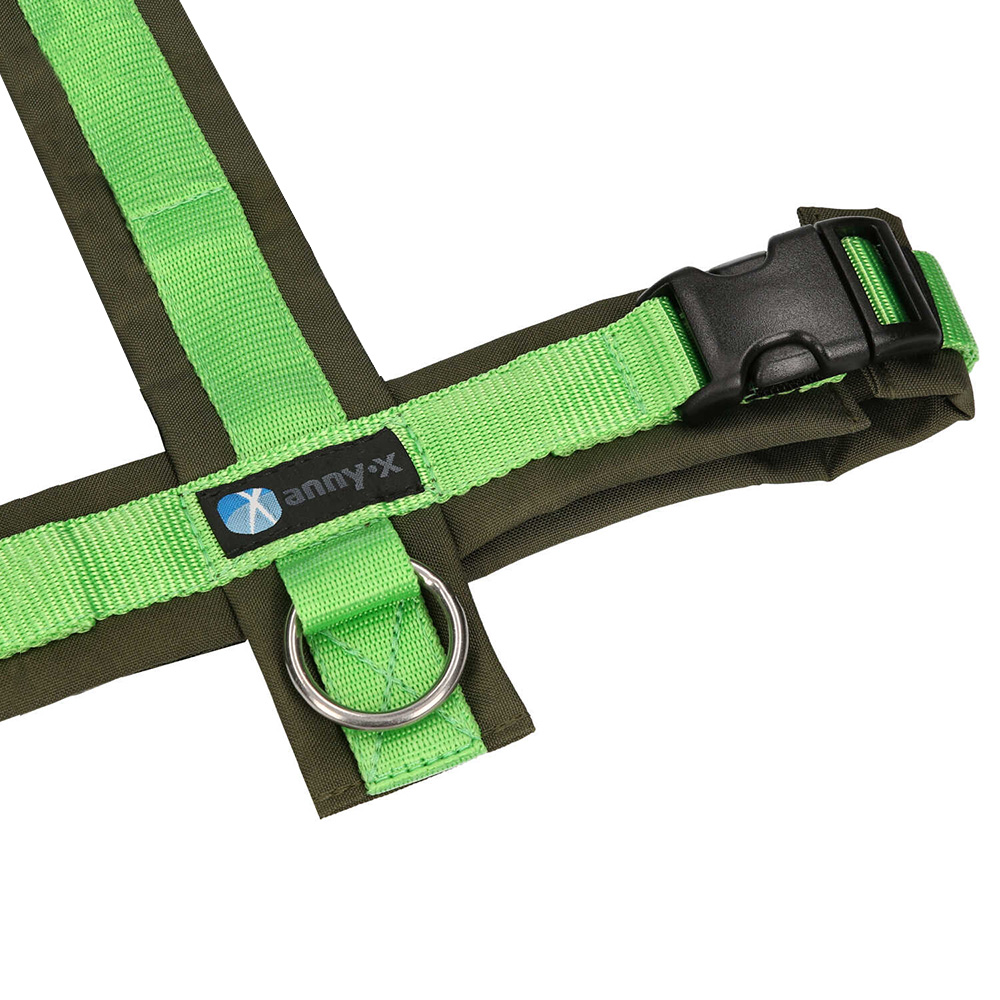 Halsband, Stirnriemen, Nylon, Grün, Schnalle