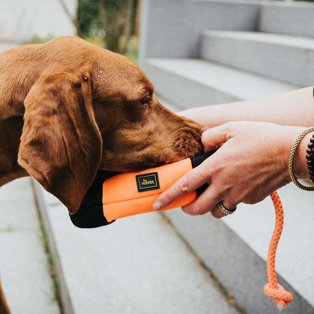 Hundegeschirr, Nylon, orange, Reflektiv, Leine