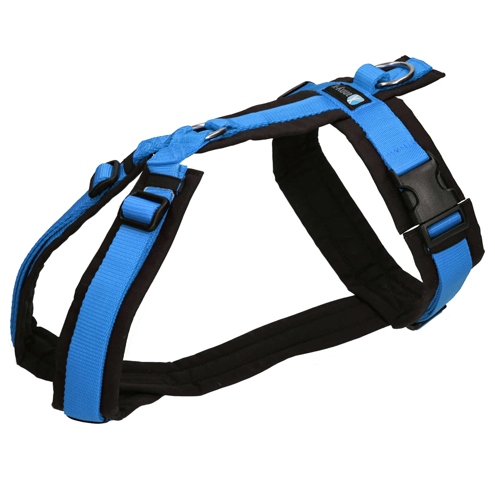 Hunde-Geschirr, Brustgeschirr, Blau, Nylon, Verstellbar