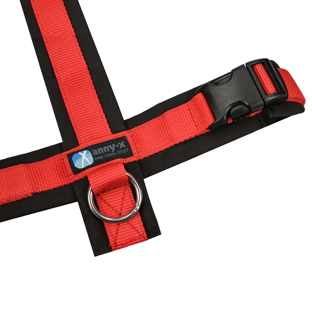 harness, Gurt, rot, Metallring, Kunststoffschnalle